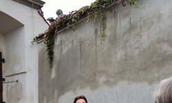 ZdjÄ™cie: DSC_9355.JPG