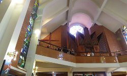 ZdjÄ™cie: P1900785.JPG