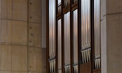 ZdjÄ™cie: _DSC3528.JPG