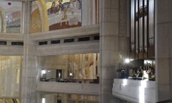 ZdjÄ™cie: _DSC3532.JPG